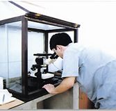 Metallographic inspection